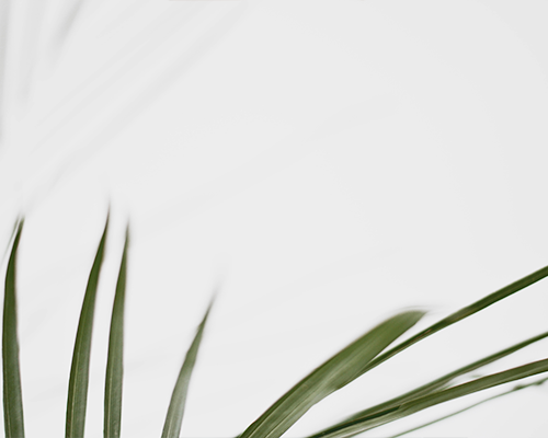 Beikeshop 1.5.6.9 新版版本发布！！！